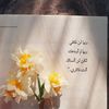 hamoode0943