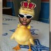 katlego709