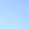 user1i59306