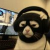 rattzy_1