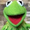 not_real_kermit