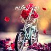 user3940900188161
