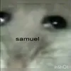 davidilnytskyj