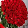 user21315319111085