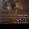 fofo3654