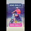 bullykin1