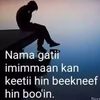osmanibsa