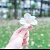 ningning96981