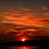 jonni_brd2007