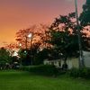 alejandrozapata_13524
