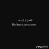 muhammedameen9950