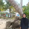ajija.com