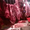 adungtkdagingcom