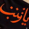 adelmohamed3133