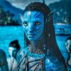 neytirimissingafingerr