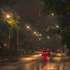 rainfall____