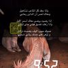 jaber_d502