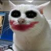 hii.ini_ivhaa