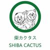 shiba_cactus