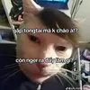 phuocnguyen9641