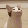chibaaaaaaa2110