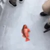tf2_hoovygaming