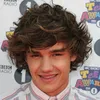 1d_fan250