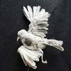 n01angel