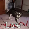 userpxwqlpx5wo