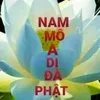 user13854501967474