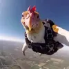 wil_cpdr