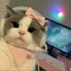 je.suis.love.2.femboy
