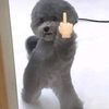 hi_desuu
