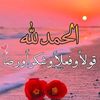 moniamhamoud