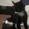 d1stalkeryaiiyaii