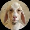 cr7_navras