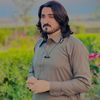 stahamdard804