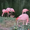 vuuhblkihvoobm89b