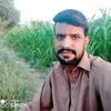 hammadaliawan850