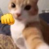 javier_ontiveros88