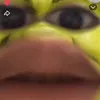 cssxzvcxha