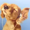 pon_da4