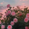 gabii_48_