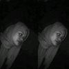 sapridawati88