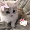 kittyneko74