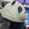 willcaxzy