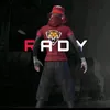 knt_rady