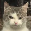 chupaghettie19