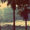user2626522727464737