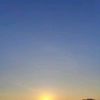 bayulika19